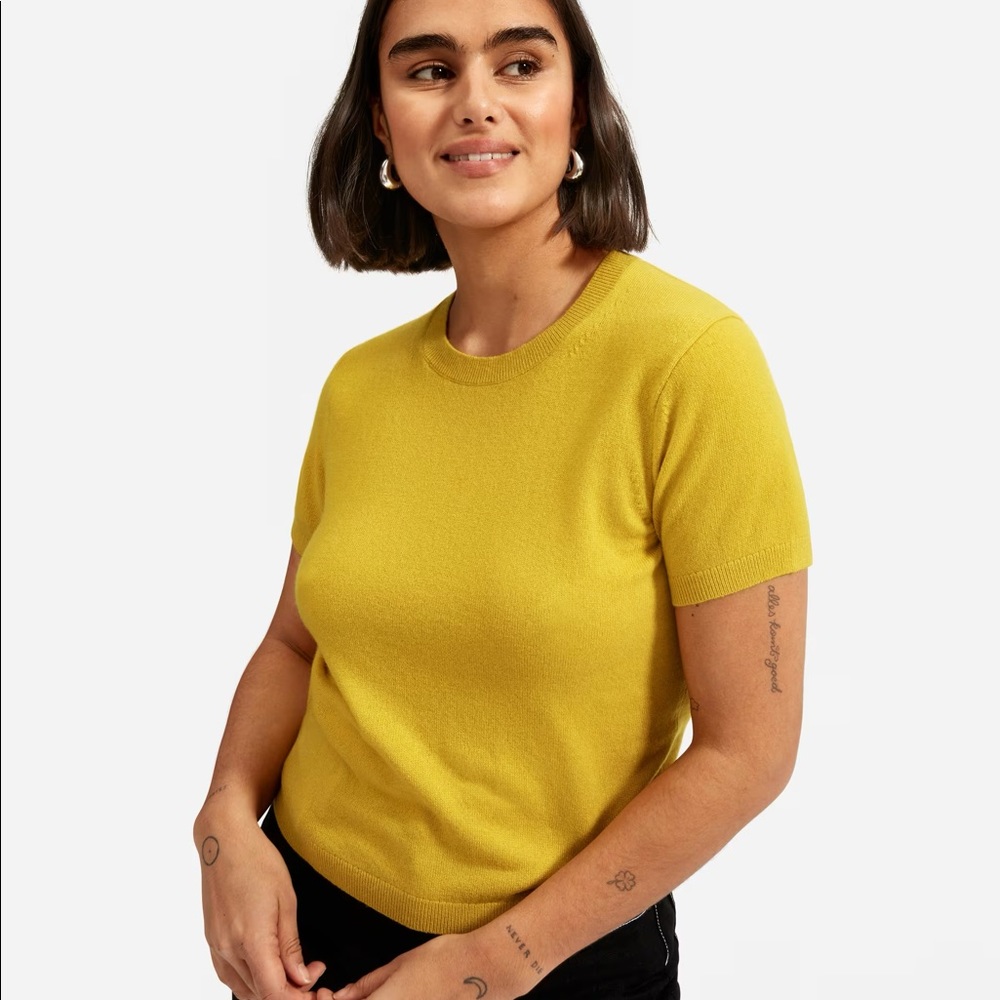 RARE Everlane Cashmere Sweater Tee